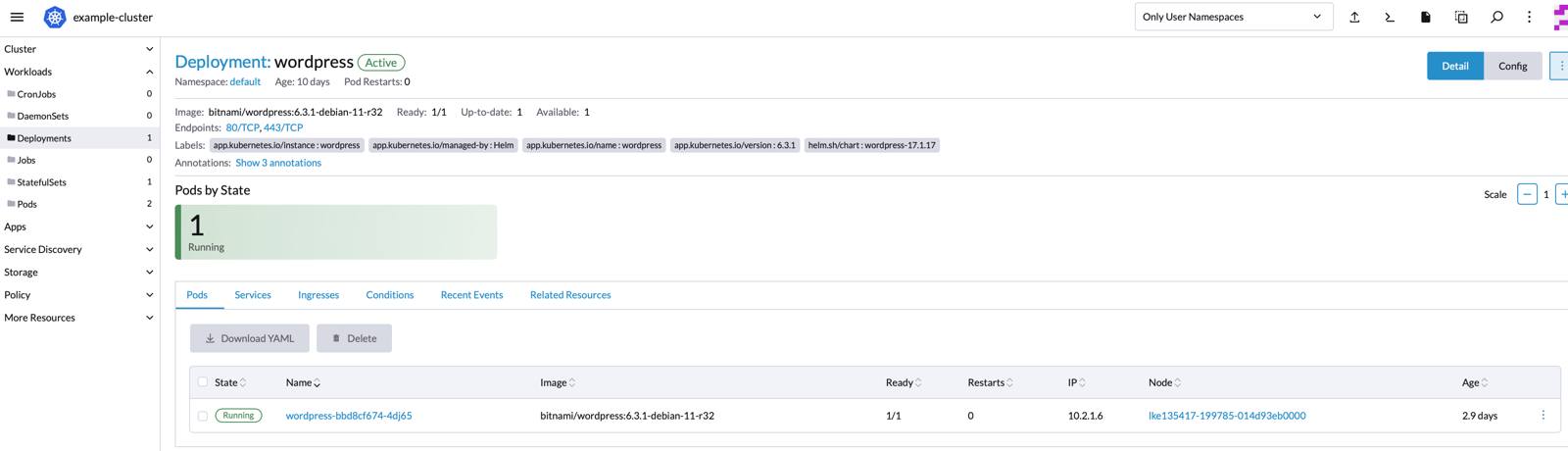 Rancher WordPress workloads - deployment name highlighted