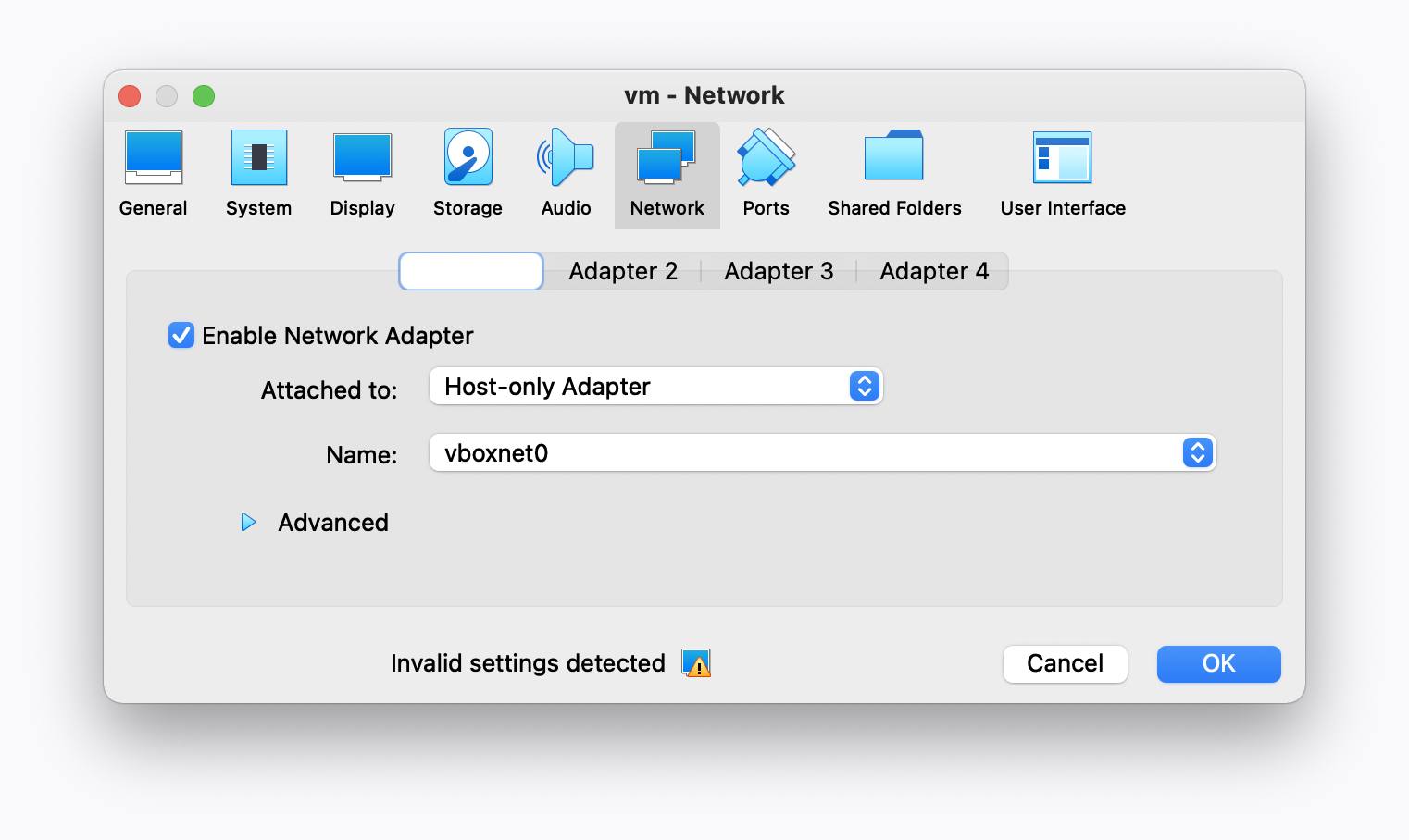 VirtualBox - Raven VM Network Settings - Host-only Adapter Selected