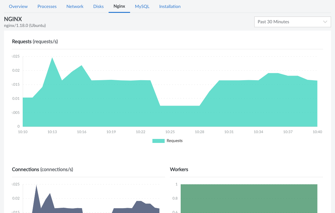 Screenshot of the NGINX tab